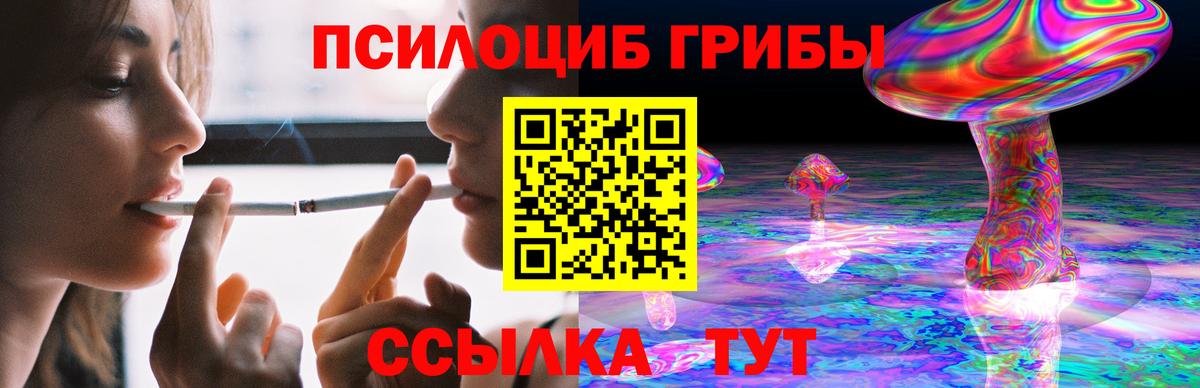 Псилоцибиновые грибы Psilocybe Октябрьский